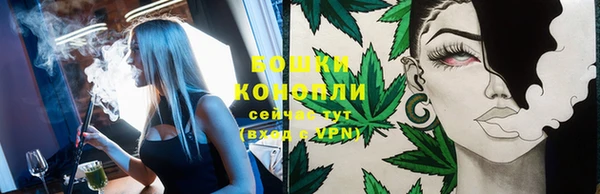 прущие грибы Зеленодольск