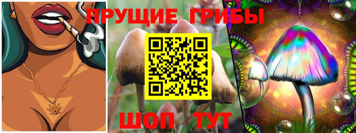Галлюциногенные грибы GOLDEN TEACHER Камышлов