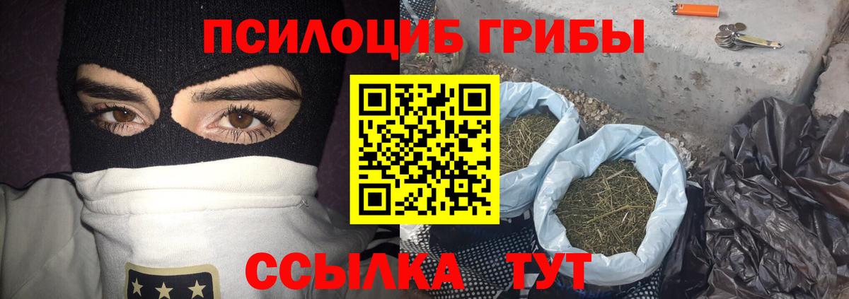 Галлюциногенные грибы Cubensis  Вход с VPN  Камышлов 